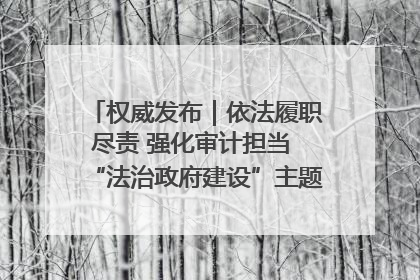 权威发布｜依法履职尽责 强化审计担当 “法治政府建设”主题系列新闻发布会市审计局专场召开